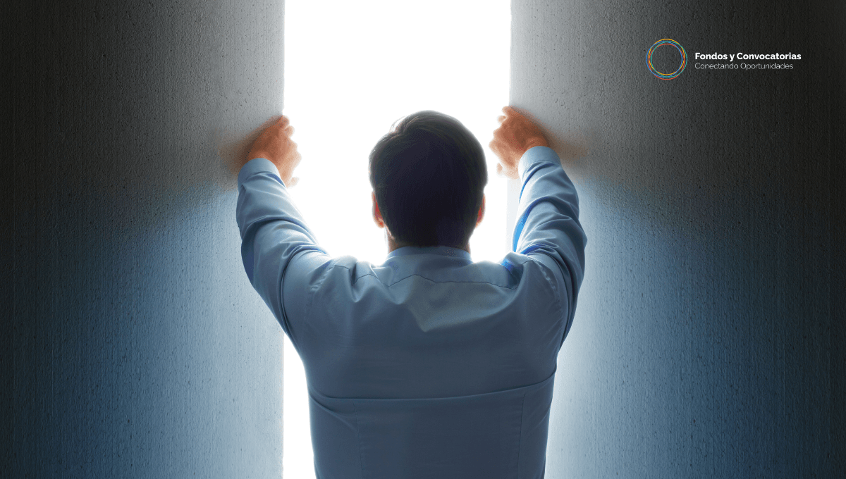 De la supervivencia a la expansión: el nuevo camino de las organizaciones sociales