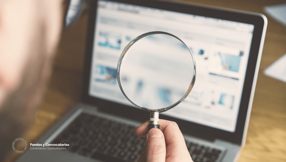 🕵️‍♀️ ¿Cómo buscar convocatorias para ONG?