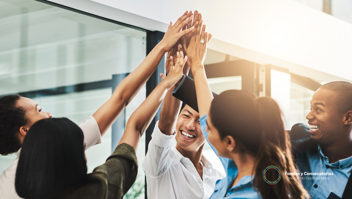 El verdadero reto de las ONG hoy: profesionalizarse sin perder su esencia